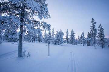 Winter landscape in Pallas Yllastunturi National Park, Lapland, Finland
