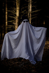 Naklejka premium Little boy in a ghost costume among the pines in a dark forest