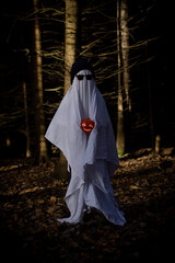 A child in a white sheet with a pumpkin Jack in his hands depicts a ghost