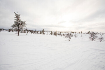 Winter landscape in Pallas Yllastunturi National Park, Lapland, Finland