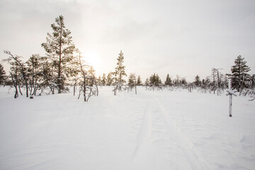 Winter landscape in Pallas Yllastunturi National Park, Lapland, Finland