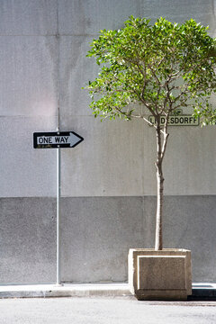 A tree in a cement planter on a city sidewalk.
