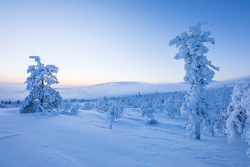 Winter landscape in Pallas Yllastunturi National Park, Lapland, Finland