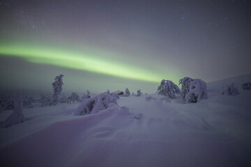 Northern lights in Pallas Yllastunturi National Park, Lapland, Finland
