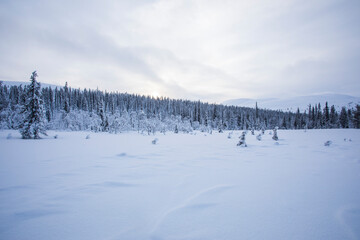 Winter landscape in Pallas Yllastunturi National Park, Lapland, Finland