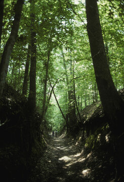 Natchez Trace