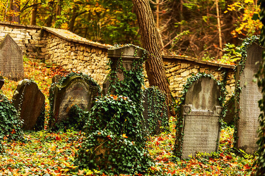 The Jewish cemetery is located about one kilometre east of the town of Luze in the Chrudim district of the Pardubice Region of the Czech Republic