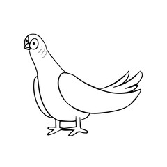 Isolated bird black draw line vector illustration