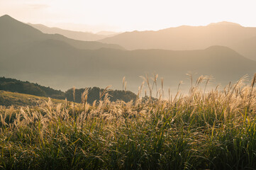 秋吉台　長者ヶ峰展望台