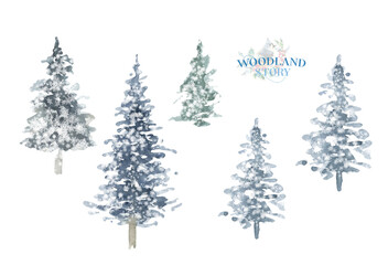 Watercolor Woodland tree illustration, pine tree, evergreen, greenery botabical decoration for greeting card, poster, invitation, baby shower Merry Christmas,New Year, holiday greetings, diy	
