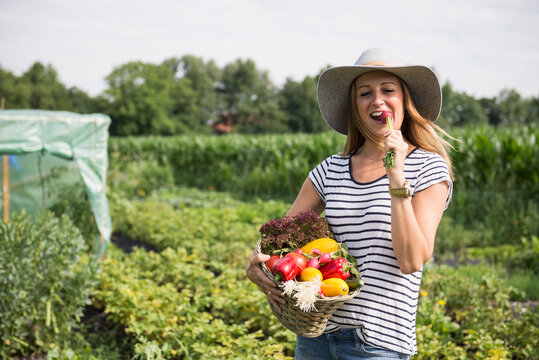 Mid adult woman eating radish and carrying vegetable basket in community garden, Bavaria, Germany