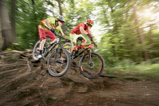 Two mountainbikers riding over roots in a forest, Bavaria, Germany