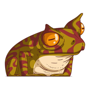 A Curious Frog, isolated vector illustration. Cartoon picture of a horned frog looking at something with interest. Drawn animal sticker. Simple drawing of a toad on white background. An amphibian.