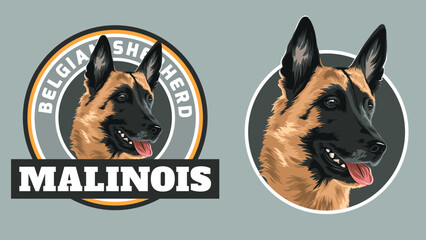 Dog tshirt and badge design for print. Belgian shepherd Malinois. Vector art, layered, Eps 10 - obrazy, fototapety, plakaty