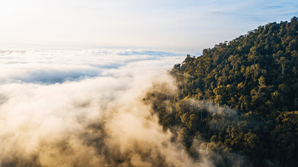 Sea clouds during golden sunrise covering the rainforest hill in Lenggong, Perak.
