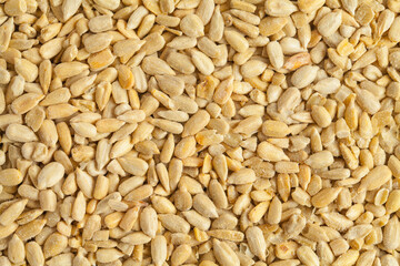 Sunflower Seed Background.