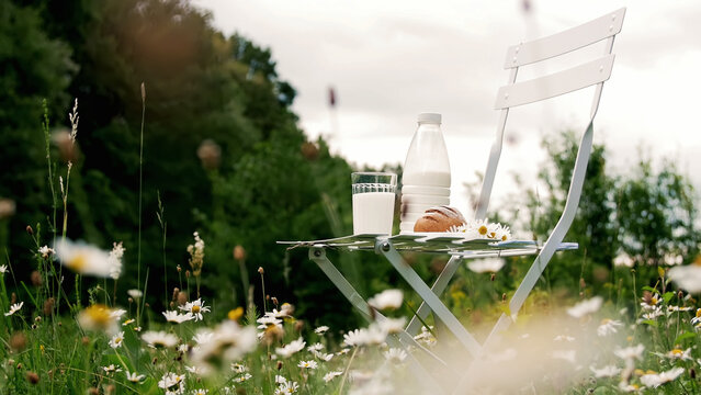 In the middle of a chamomile lawn, on a white chair is a bottle of milk, Also there is a glass of milk, and bread. Near is a bouquet of chamomiles. High quality photo