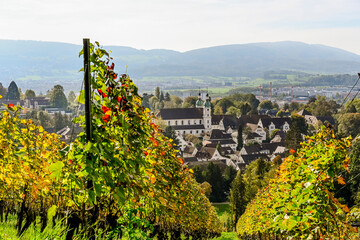 Arlesheim, Dom, Weinberg, Birstal, Birsebene, Dorf, Aesch, Pfeffingen, Herbst, Herbstfarben, Herbstlaub, Herbstsonne,  Baselland, Schweiz