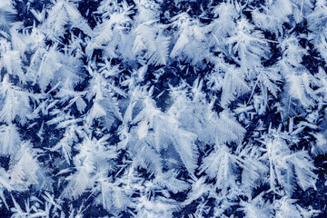 Big fluffy snowflakes on the surface of the ice. Winter and Christmas background