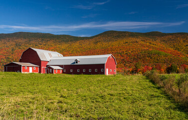 Large modern farm barn by the side of the road near Stowe in Vermont during the autumn color season © steheap