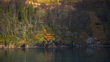 Norwegian fjord in autumn 