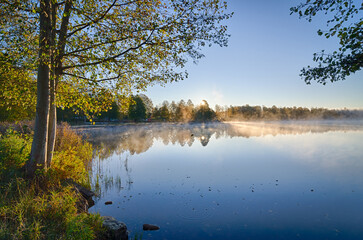Cold morning by the swedish lake