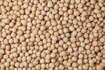 Yellow Peas (white peas, matar sabut, Sugar pea)