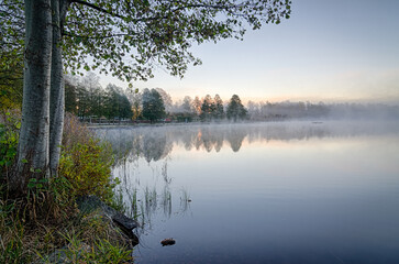 Foggy morning over the autumn lake