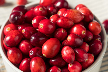 Raw Red Organic Fresh Cranberries