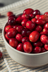 Raw Red Organic Fresh Cranberries
