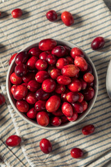 Raw Red Organic Fresh Cranberries