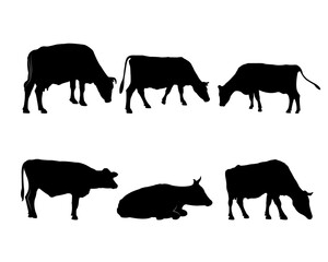 Collection of black silhouettes cows