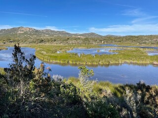 Marais sud Corse