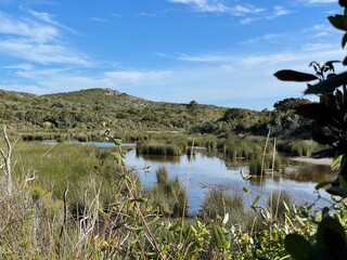 Marais sud Corse