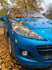 Autumn yellow leaves on the blue little car colours of Ukrainian flag