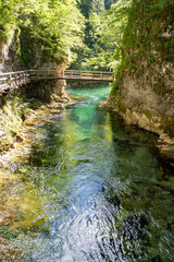 Vintgar Gorge in Slovenia