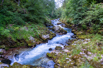 Vintgar Gorge in Slovenia