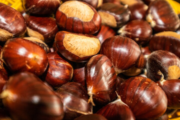 chestnuts. chestnut harvest. Autumn color