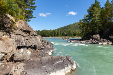 Katun river, landscape photo taken on a sunny day - obrazy, fototapety, plakaty