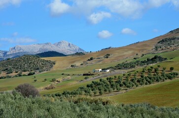 Fototapeta premium Panorama de la Comarca Sur de Antequera, una zona montañosa entre el Torcal y los Montes de Málaga, Andalucía, España.