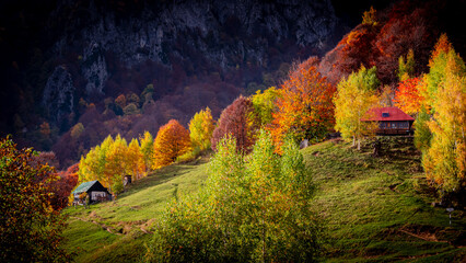 Autumn in Buila Vanturarita National Park, Carpathian Mountains, Romania. Patrunsa hermitage...