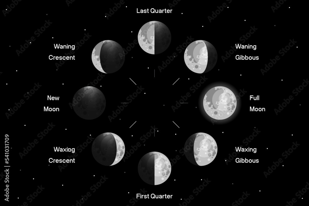 Poster moon phases scheme sphere shadow cycle astronomy icon set. vector illustration background