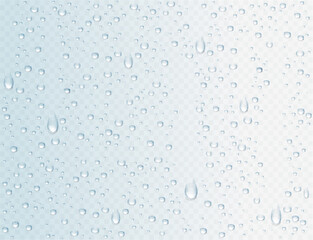 Vector rain drops or steam shower on window glass surface for your design. Realistic pure droplets and water bubbles condensed on the glass background - 541032714