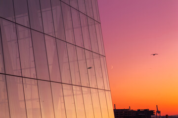 Glass wall of Oslo Opera House in Oslo at sunset - obrazy, fototapety, plakaty