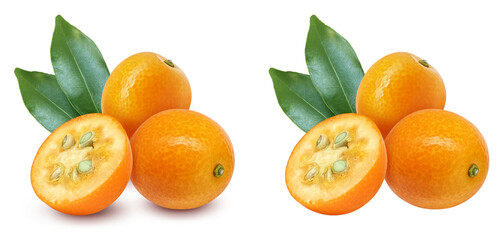 金柑 果物 イラスト リアル セット