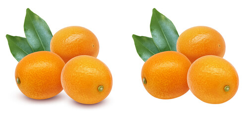 金柑 果物 イラスト リアル セット