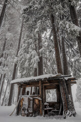 Old wooden building in the snow surrounded by trees