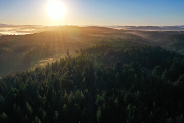 Sunrise above the tree tops fro above the treelike off the coast of California 