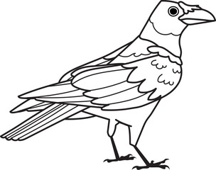Black Line Raven vector. Isolated on white background. Halloween design element. Bird outline character illustration