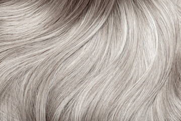 Blond hair close-up as a background. Women's long blonde hair. Beautifully styled wavy shiny curls. Hair coloring. Hairdressing procedures, extension. White hair